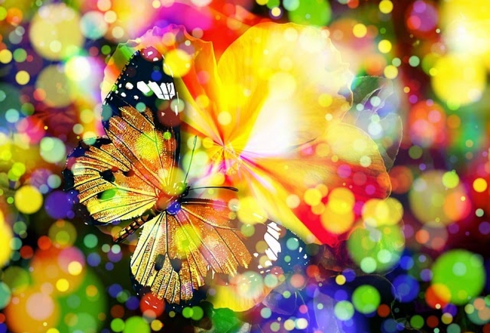mariposa-magica-colores-textura.jpg